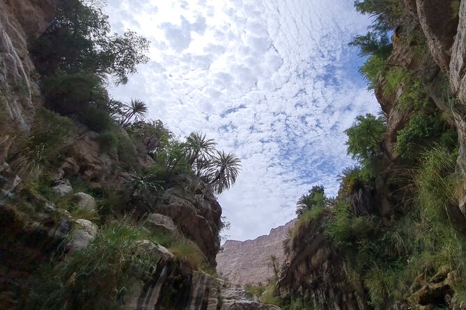 Private Full-Day Wadi Tiwi and Bimmah Sinkhole Tour From Muscat - Accessibility and Suitability