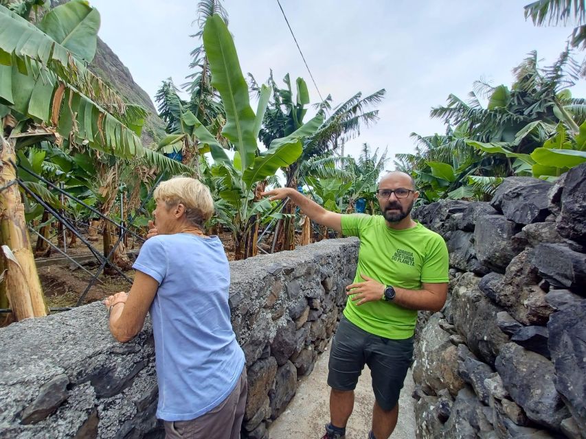 Private - Gastro Hike With Levada Walk and Local Food - Tasting of Poncha