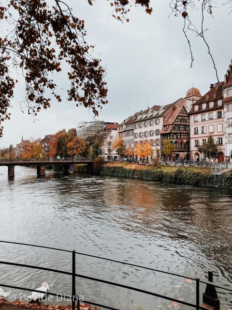 Private Gastronomic Tour of Strasbourg - Culinary Experiences