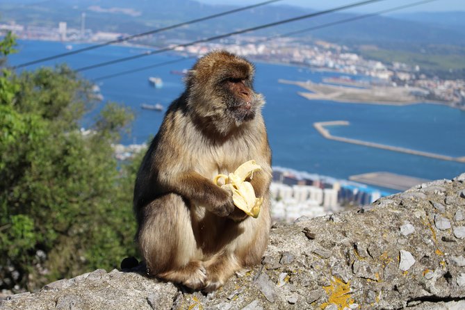 Private Gibraltar Day Tour From Seville - Ideal for First-Time Visitors