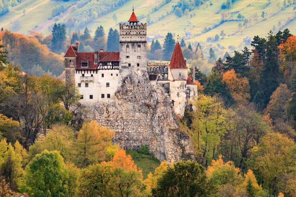 Private Guided Tour Draculas Castle & Bear Sanctuary - Bran Castle Exploration