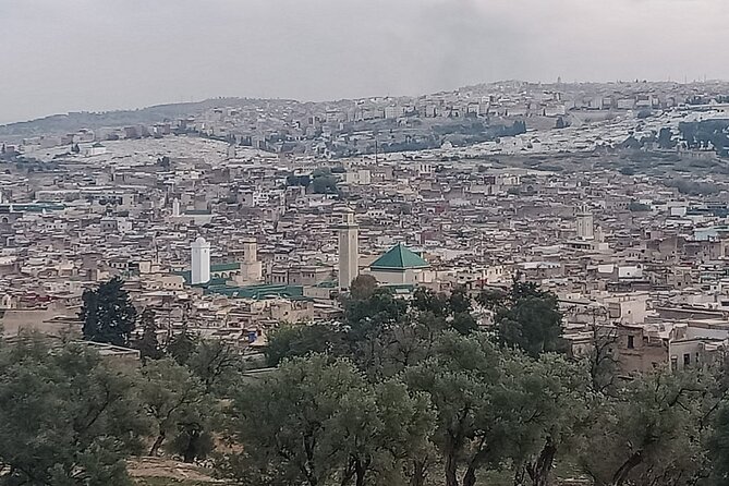 Private Guided Tour in Fez - Accessibility