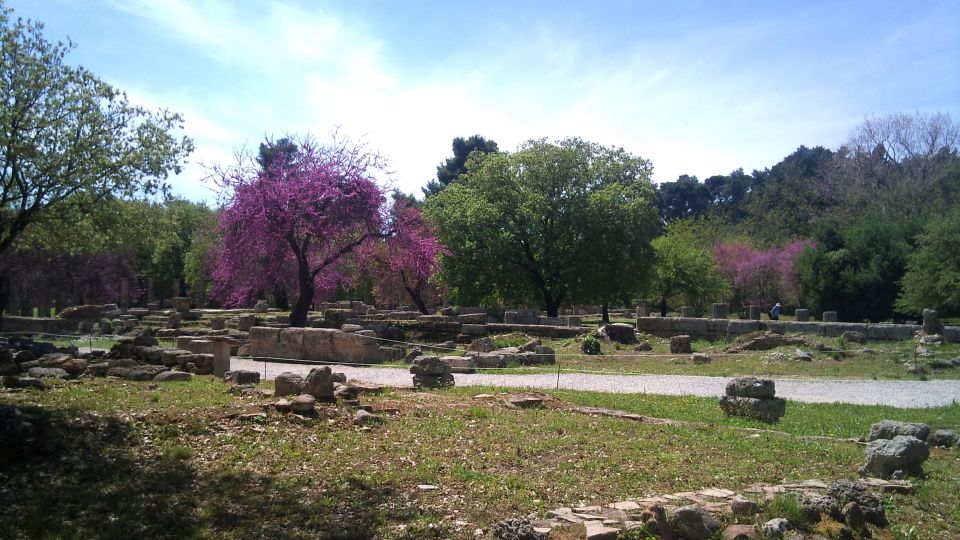 Private Guided Tour of Ancient Olympia - Customer Feedback