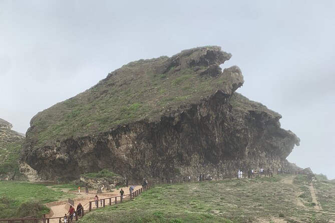 Private Guided Tour to West Beaches of Salalah - Bottled Water Provided