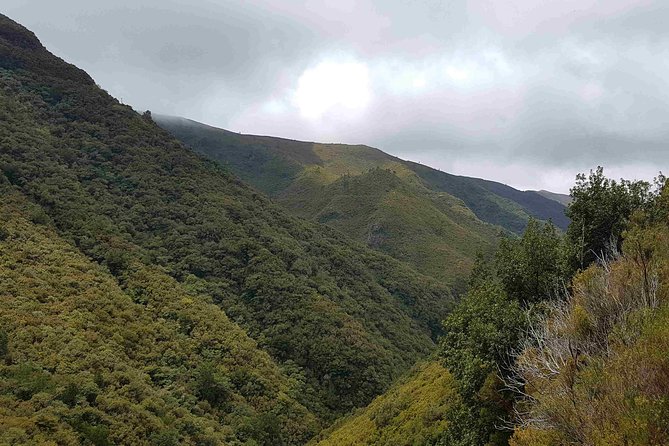 Private Guided Walk Levada 25 Fountains - Confirmation and Availability