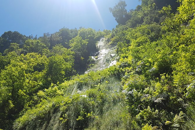 Private Guided Walk Levada Do Rei - Guided Experience