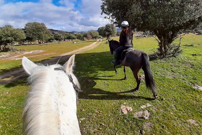 Private Horse Ride in Madrid Natural Park Reserve - Suitability and Accessibility