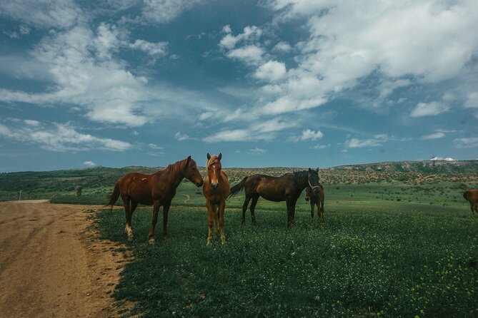 Private Horse Riding Adventure in Tbilisi - Confirmation and Accessibility Details