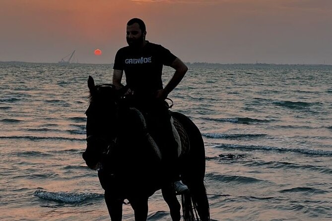 Private Horse Riding Experience at Red Sea - Positive Feedback From Guests