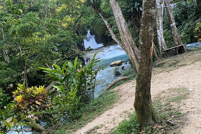 Private Horseback Riding With Blue Hole River Tour in Montego Bay - Reviews