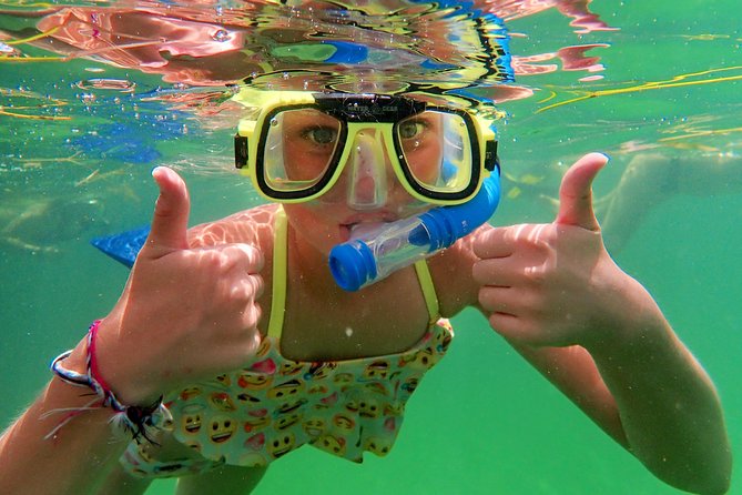 Private Looe Key Snorkel From Big Pine Key - Schedule and Availability