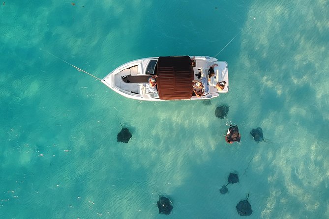 Private, Luxury, Custom Charters to Stingray City, Snorkeling & More - Accessibility and Confirmation