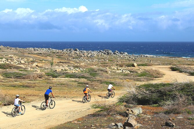 Private Mountain Bike Tour in Aruba - Guide and Experience