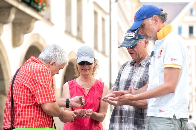 Private Munich Old Town Walking Tour - Accessibility Considerations