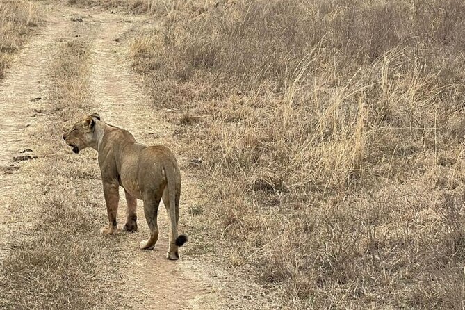 Private Nairobi National Park Day Tour - Payment Options