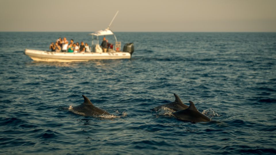 Private Panorama With Snorkeling and Dolphins Tour in Poreč - Boat Features