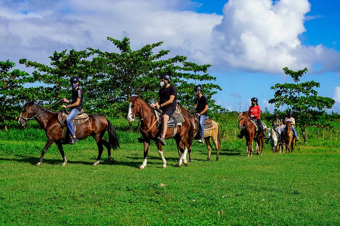 Private Ranch Horseback Tour in Carolina, Puerto Rico - Scenic Highlights