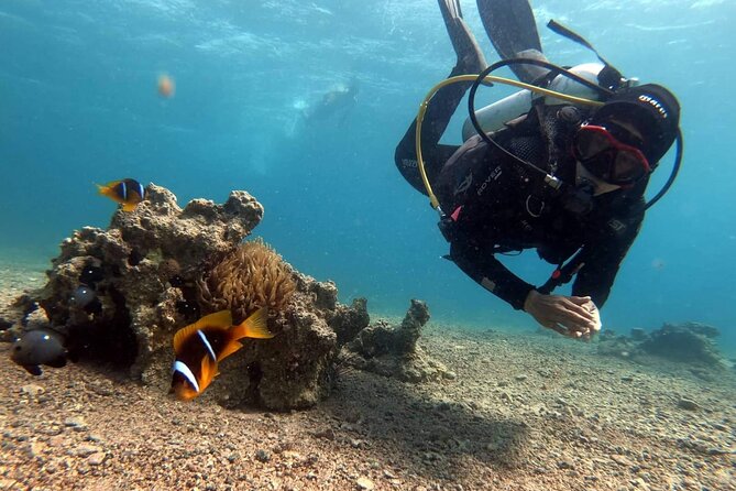 Private Scuba Diving Adventure in the Red Sea of Aqaba - Cancellation and Refund Policy