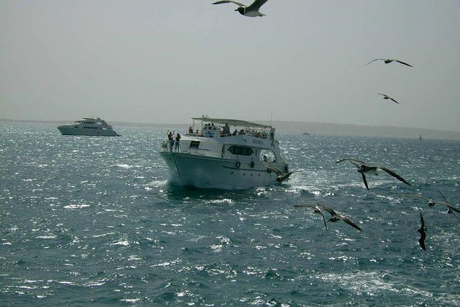 Private Sea Trip Hurghada - Transportation and Accessibility