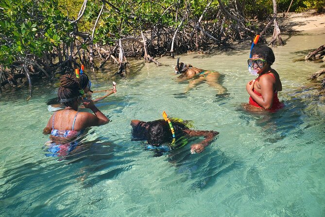 Private Snorkeling and Biobay Boat Tour From San Juan - Refreshing Soft Drinks and Water