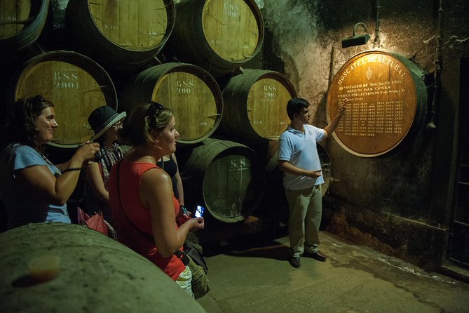 Private Tour: Arrábida Day Trip From Lisbon Including Wine Tasting - Traveler Feedback