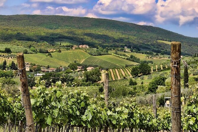 Private Tour: Chianti Winery, Montefioralle, and Greve in Chianti - Booking Information