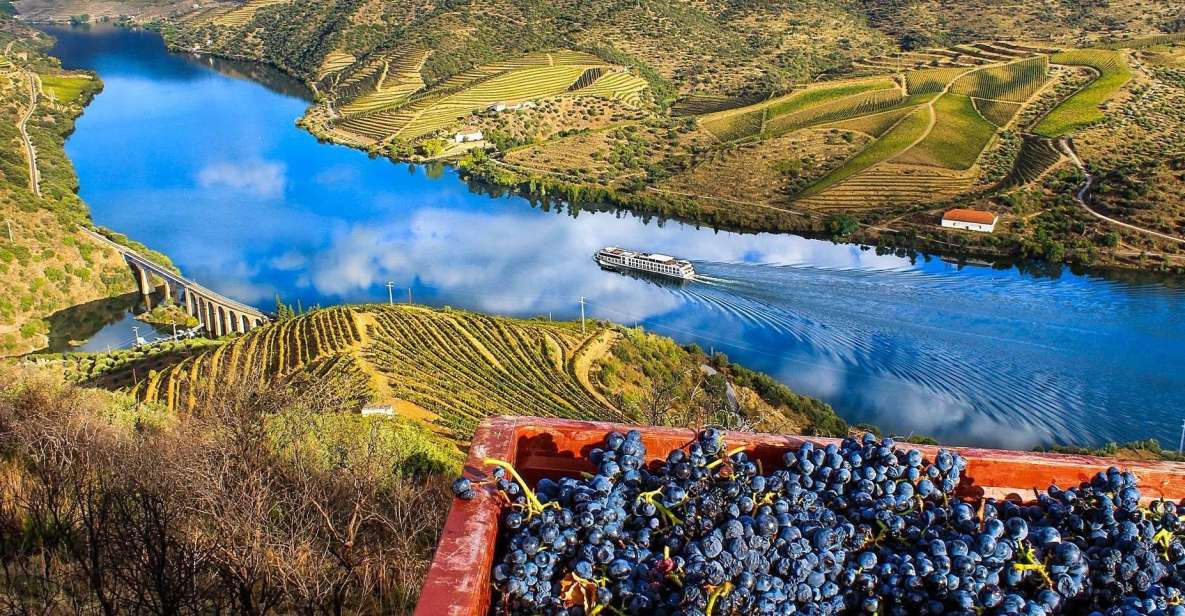 Private Tour: Douro Valley Wine and Food From Oporto - Lunch and Free Time in Douro Valley