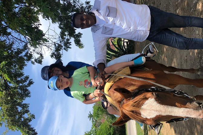 Private Tour From Montego Bay to Ocho Rios Horse Back Riding & Blue Hole Falls - Exploring the Blue Hole Falls