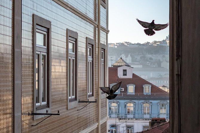 Private Tour - Lisbon Walking Tour With a Photographer - Transportation and Snacks