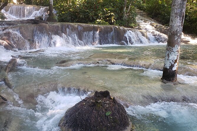 Private Tour of Dunns River Falls From Montego Bay Resorts - Inclusions and Exclusions