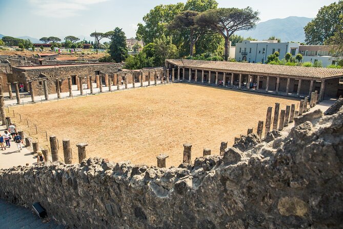 Private Tour of Pompeii and Mt Vesuvius From Sorrento - Accessibility and Accommodations