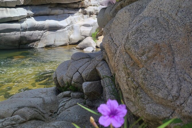 Private Tour of the White Canyon Ancestral Route in Utuado - Reviews and Feedback