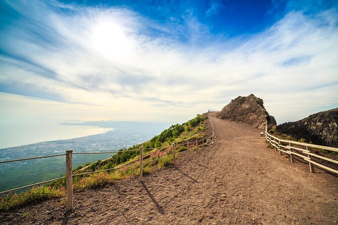 Private Tour: Pompeii and Mount Vesuvius With Wine Tasting - Review Highlights