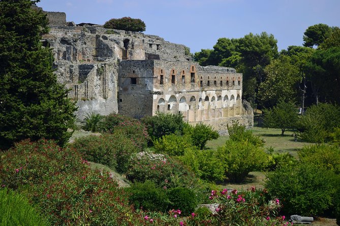 Private Tour: Pompeii Half-Day Trip From Naples - Flexible Pickup and Personalized Experience