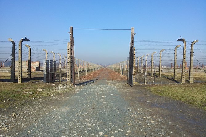 Private Tour to Auschwitz Birkenau & Salt Mine in One Day - Pricing and Booking Process