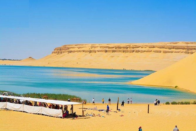 Private Tour to Fayoum Oasis, Valley of the Whales & Wadi Al Rian From Cairo. - Whale Fossils and Natural Landscapes