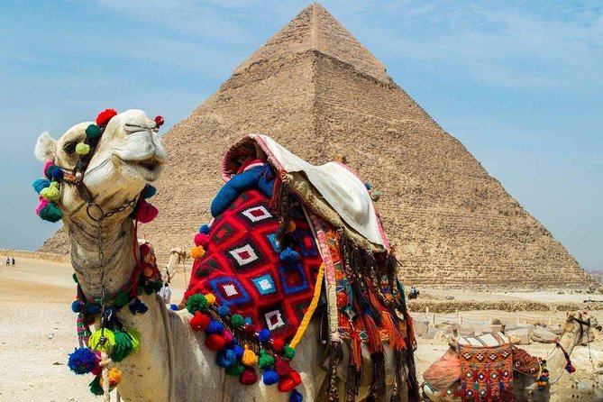 Private Tour to Giza Pyramids, Sphinx and Egyptian Museum - Air-conditioned Transportation