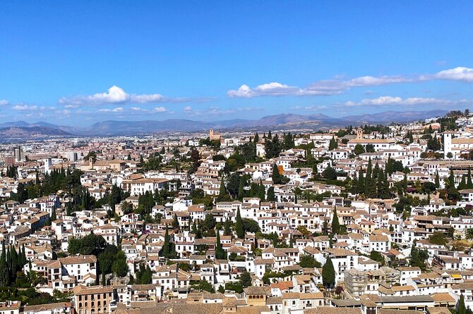 Private Tour to Granada From Seville With Visit to the Alhambra - Tour Inclusions