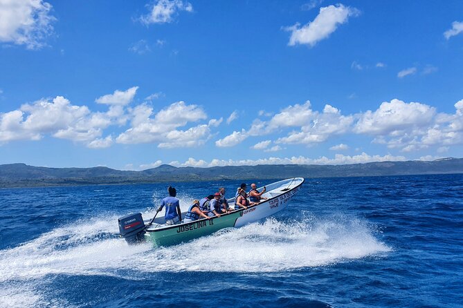 Private Tour to Paradise Island With Snorkel & Manatee Sanctuary - Additional Information