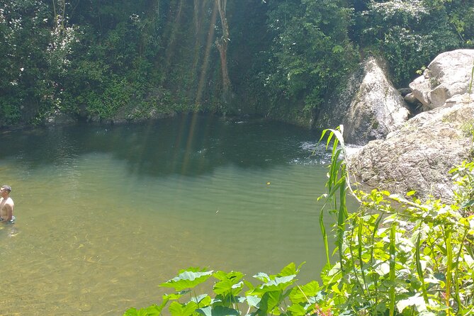 Private Tour to Pristine Swimming Hole In Puerto Rico Jungle - Alcoholic Beverages