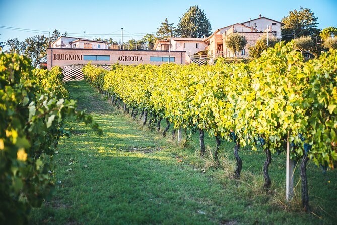 Private Visit to the Brugnoni Winery With Tasting of 4 Wines - Booking Confirmation and Private Tour