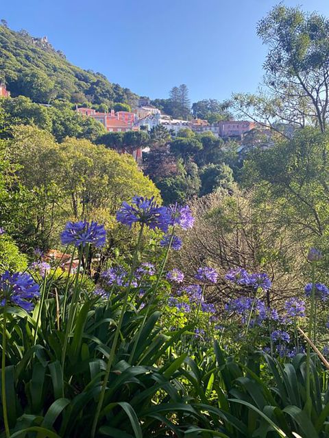 Private Walking Tour of Sintra Village + Quinta Da Regaleira - Quinta Da Regaleira