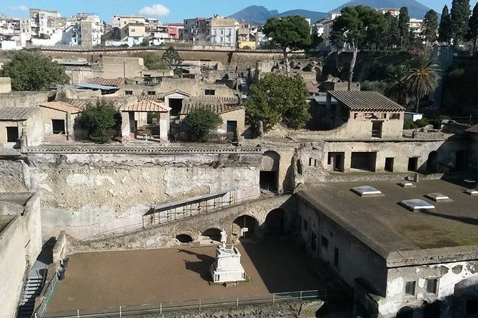 Private Walking Tour Through the Historical City of Herculaneum - Meeting and Pickup Location