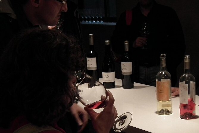 Private Wine and Oil Tour in the Priorat Wine Region - Flexibility and Customization