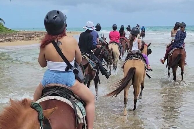 Puerto Rico Beach Horseback Riding Guided Tour - Pricing and Inclusions