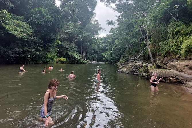 Puerto Rico: El Yunque Sightseeing Half-Day Tour With Transfer - Guests Feedback and Ratings