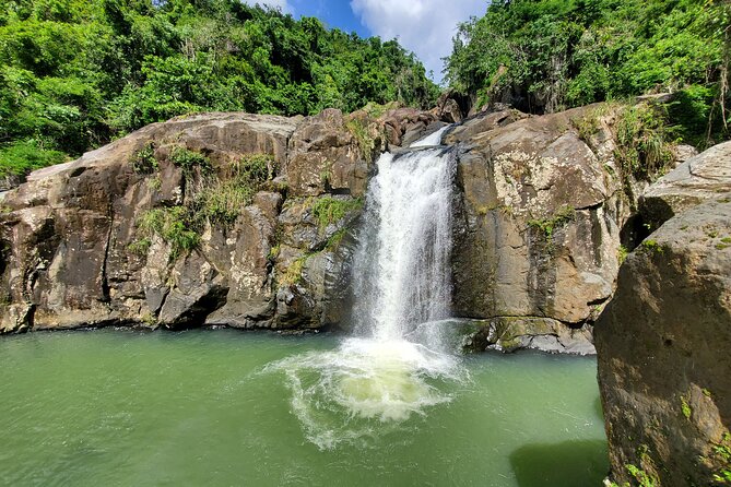 Puerto Rico Tour to El Yunque Rainforest Hiking to Waterfall - Swimming in Natural Pools