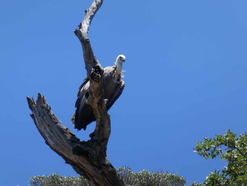 Punat-Private 3.5 Hour Trip to Stara Baška Wild Bays - Participant Information