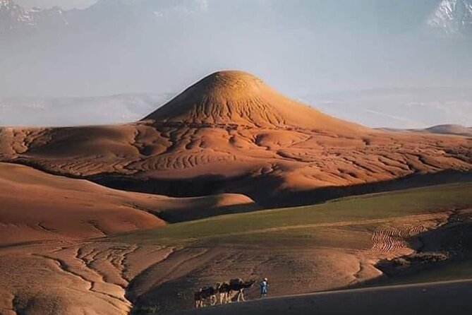 Quad Bike Tour With Dinner Show & Camel Ride - Camel Ride at Dusk