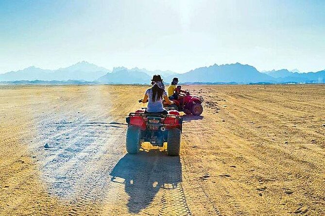 Quad Biking Safari-Camel Ride-Bedouin Dinner and Shows From Sharm - Itinerary at a Glance